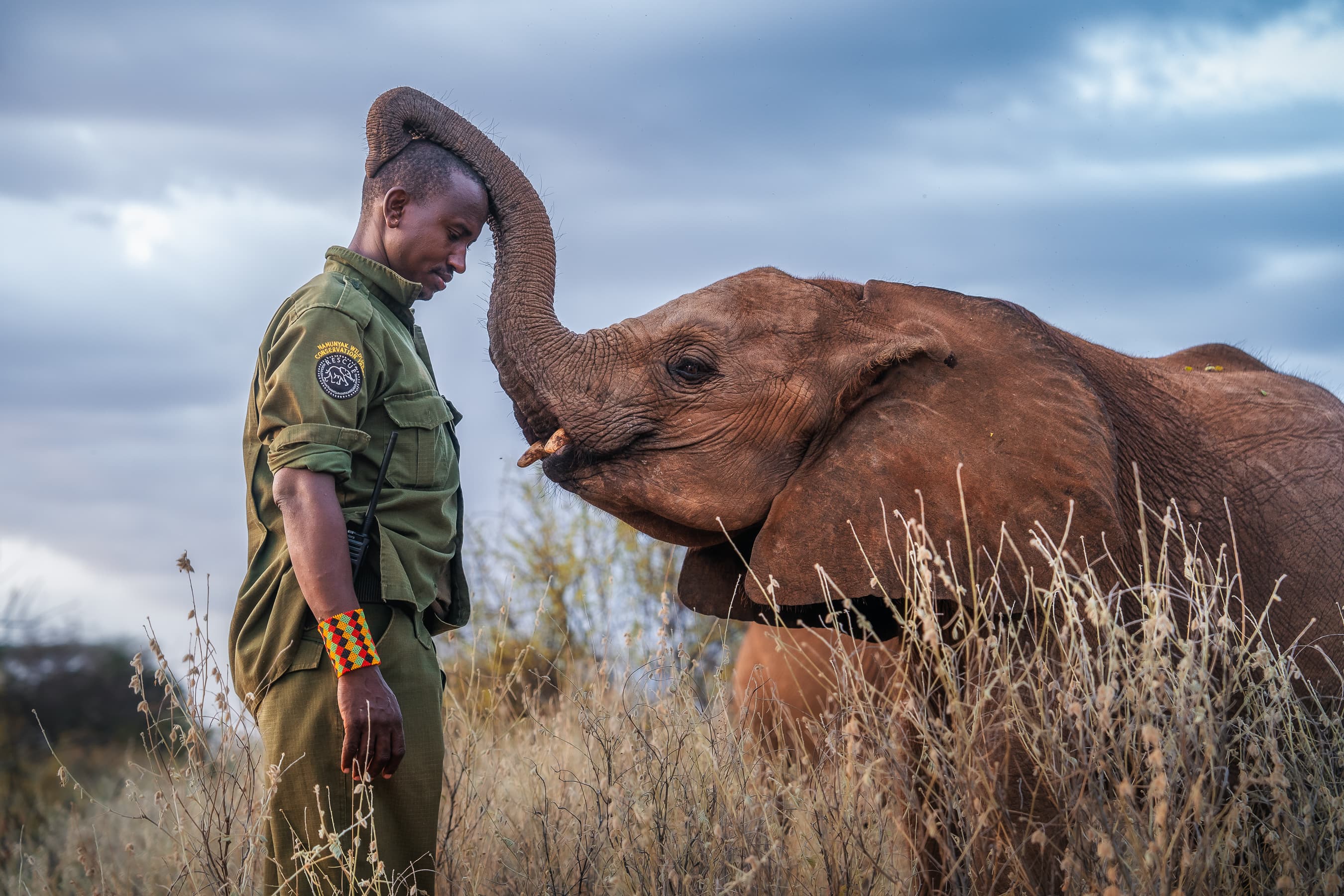 Un elefante huérfano acaricia a su cuidador